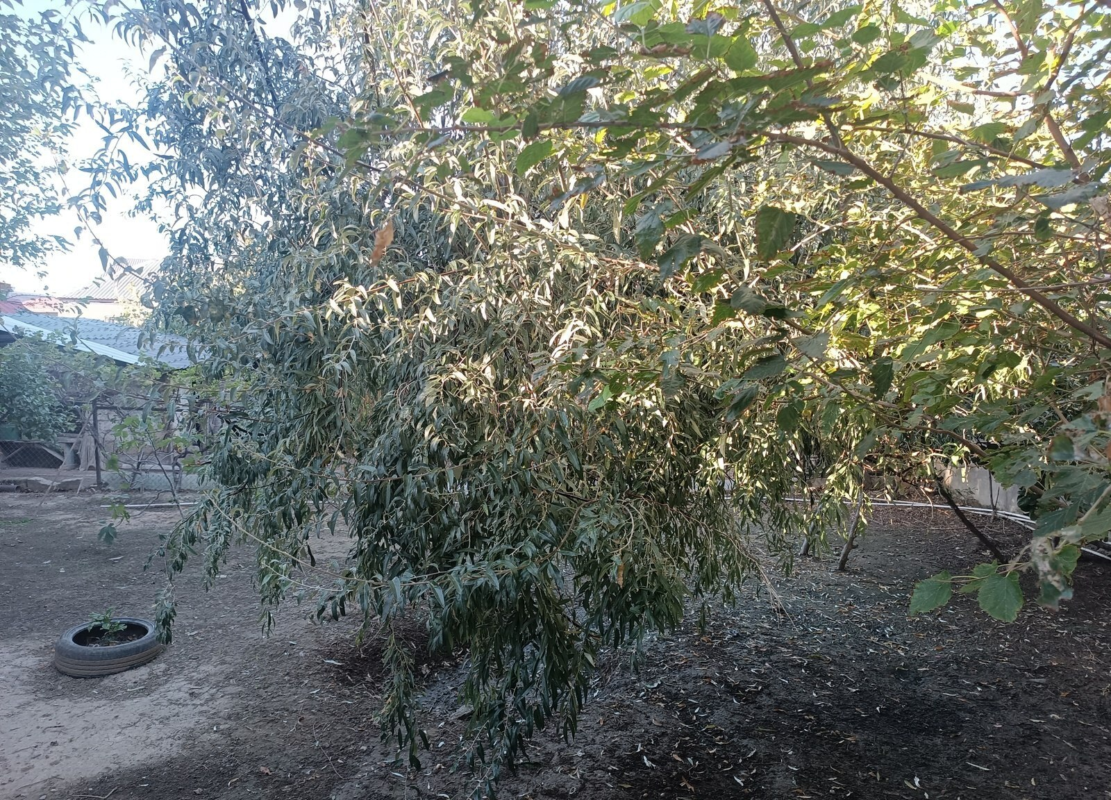 4 otaqlı həyət evi 130 m² satılır — Ev, villa, Abşeron (6)