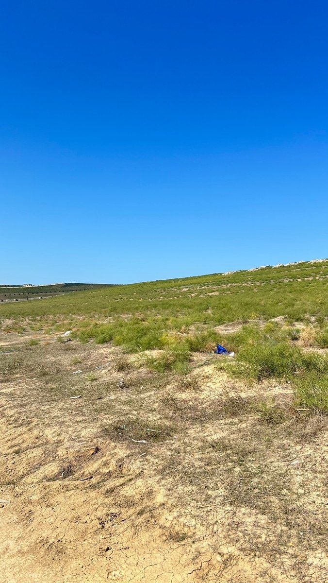 30 sot torpaq sahəsi, Novxanı qəs — Torpaq, Bakı (4)