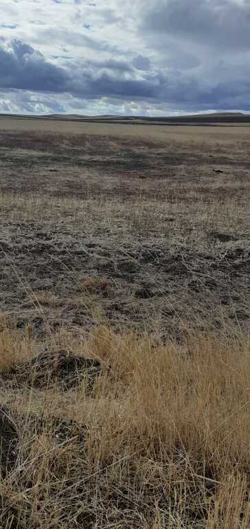 Satılır torpaq 3939 sot — Torpaq, Qobustan (11)