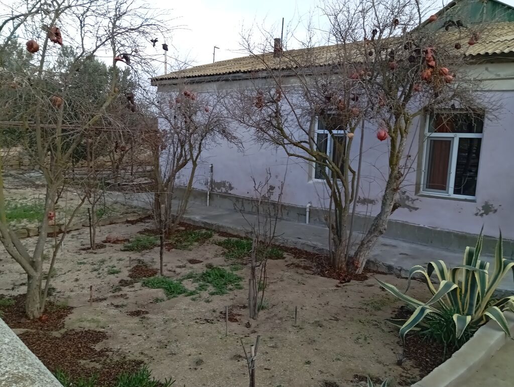Satılır: Həyətli evi, 13sot torpag,ev 180kv,birmertebeli,tam — Ev, villa, Bakı (2)