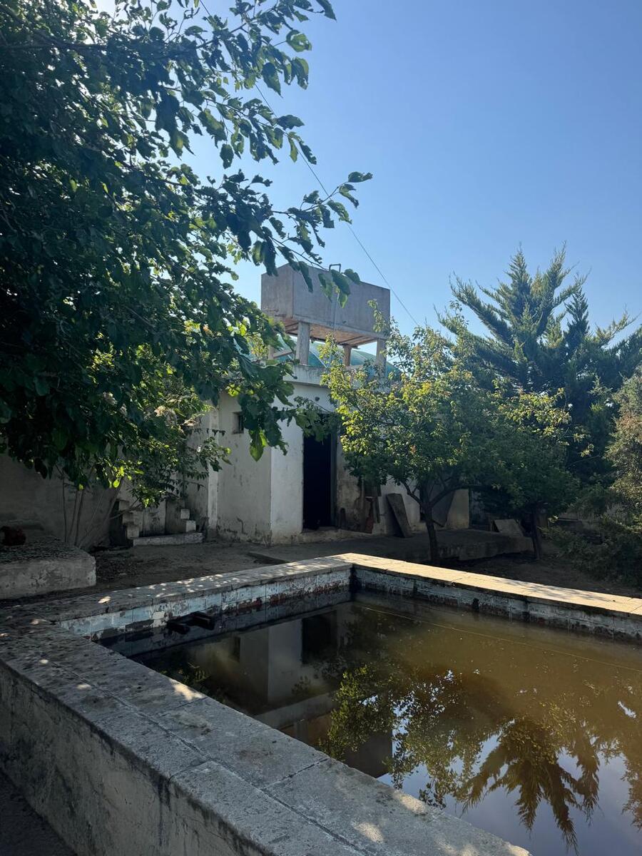 Satılır torpaq 30 sot — Torpaq, Bakı (9)
