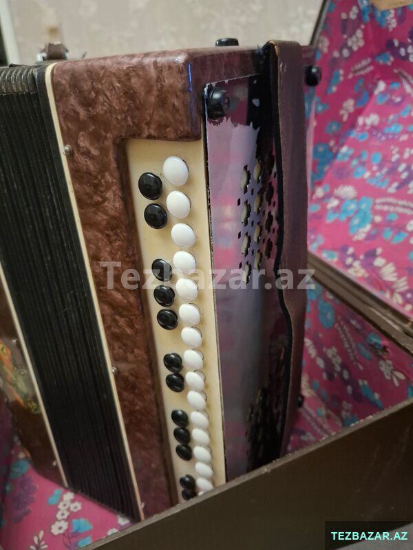 Qarmon Musiqi Aləti — Musiqiə alətləri, Kürdəmir (2)