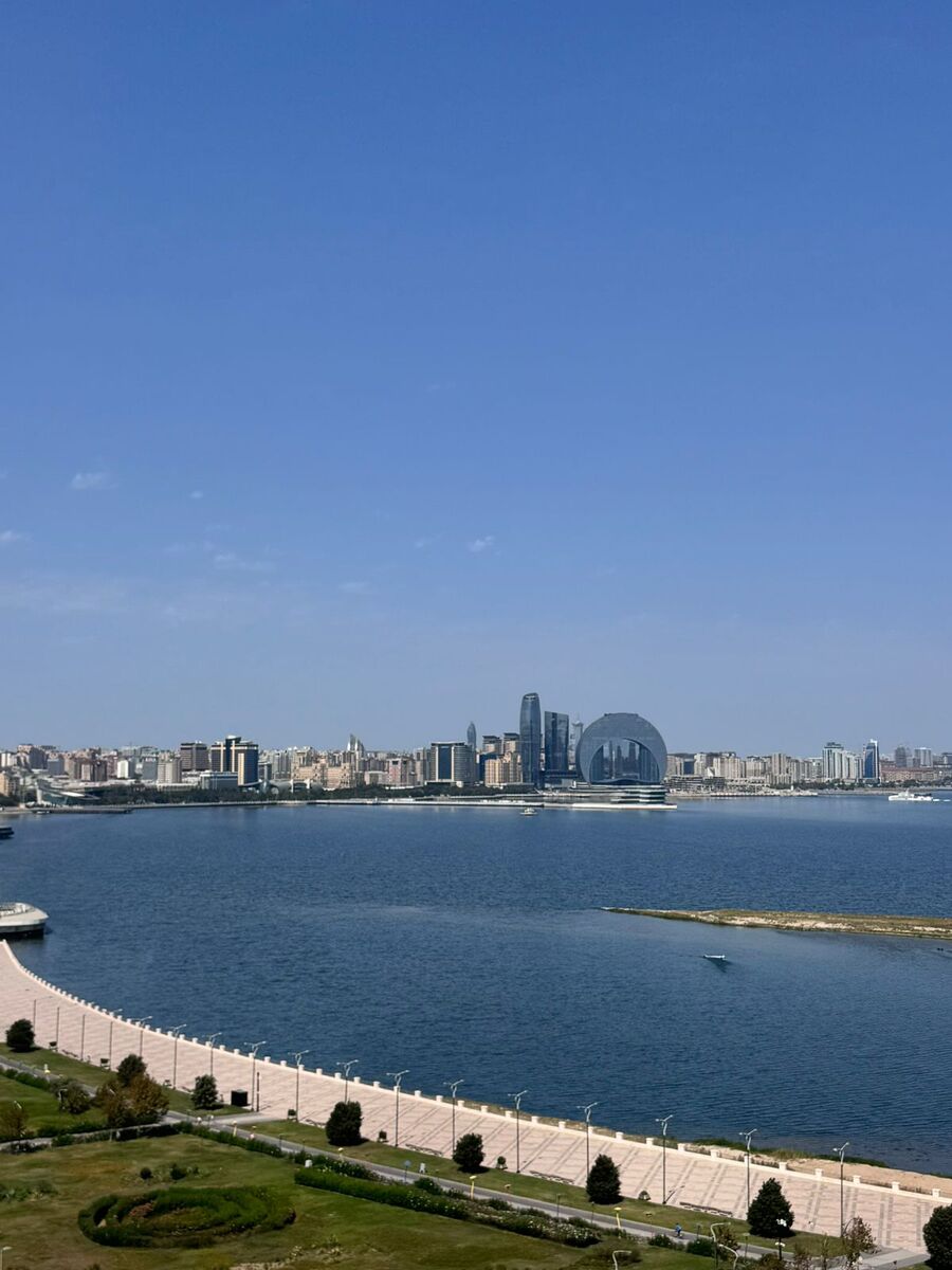 Satılır 4 otaqlı yeni tikili 240 m² — Mənzil, Bakı (11)