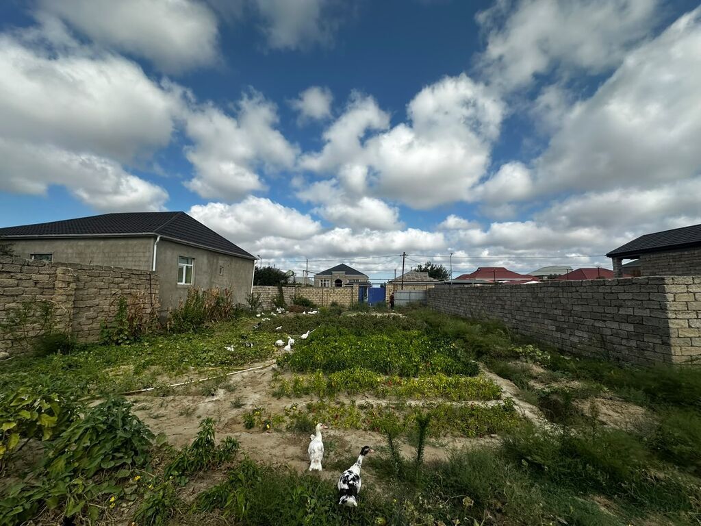 3 sot, Tikinti, Mülkiyyətçi, Kupça (Çıxarış) — Torpaq, Digah