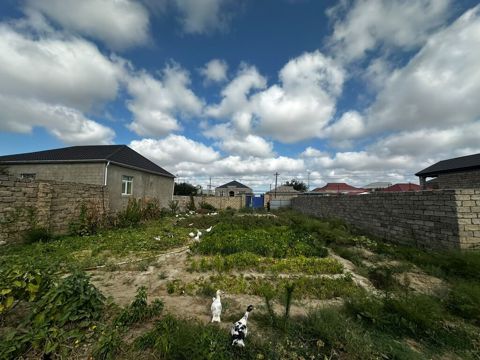 3 sot, Tikinti, Mülkiyyətçi, Kupça (Çıxarış) — Digah