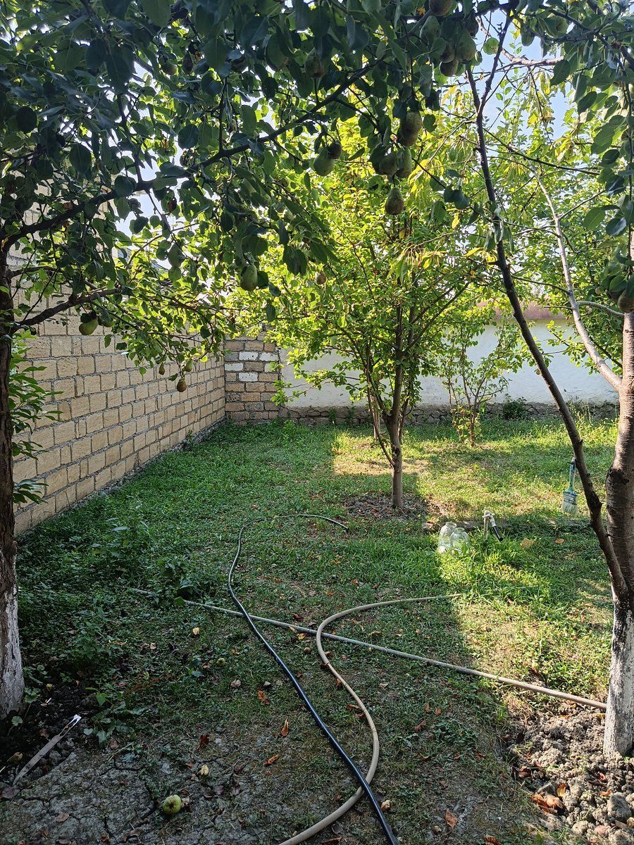 4 sot torpaq sahəsi, Qəbələ r — Torpaq, Qəbələ (3)