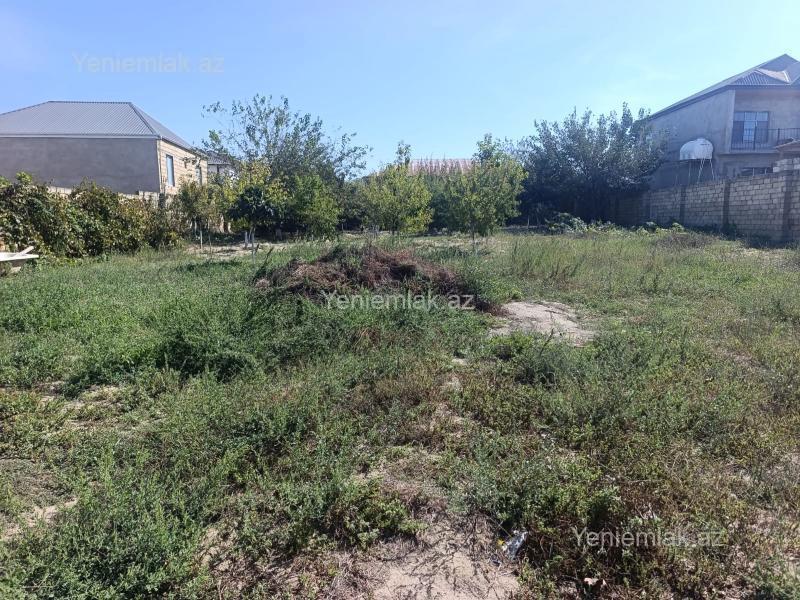Satılır Torpaq sahəsi, 10 sot, Saray — Torpaq, Abşeron (2)