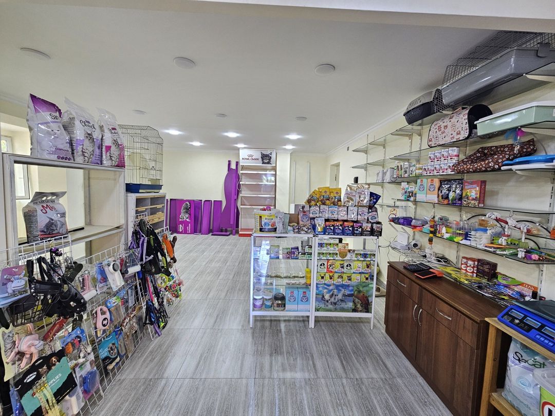 İcarəyə verilir obyekt 65 m² — Əmlak, Bakı (5)