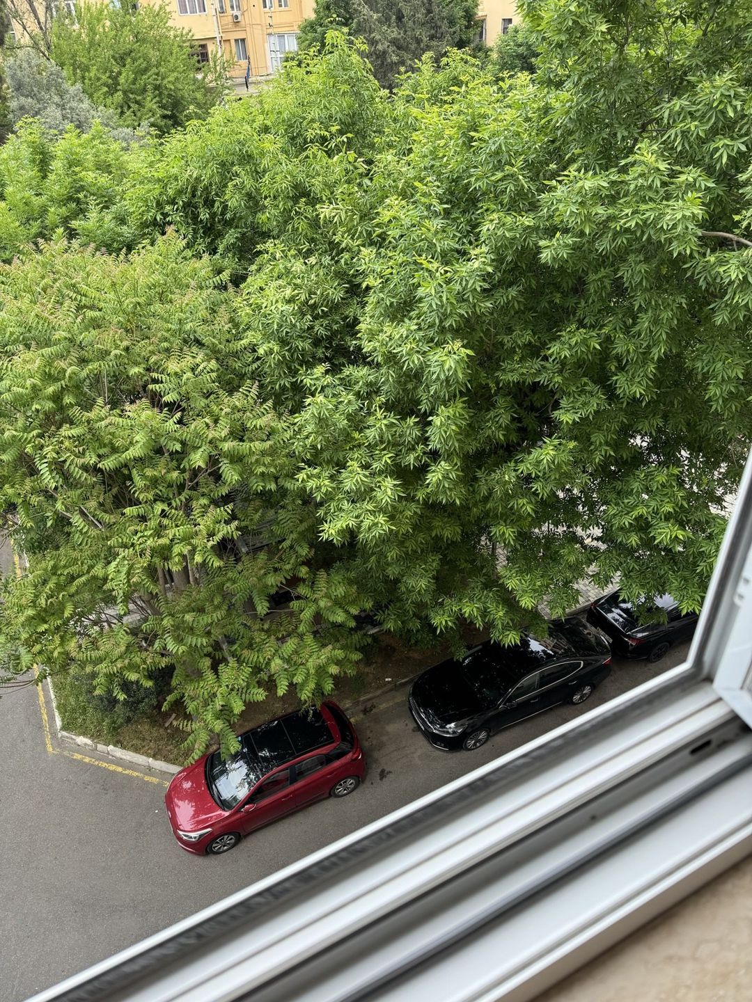 Satılır 2 otaqlı köhnə tikili 55 m² — Mənzil, Bakı (6)