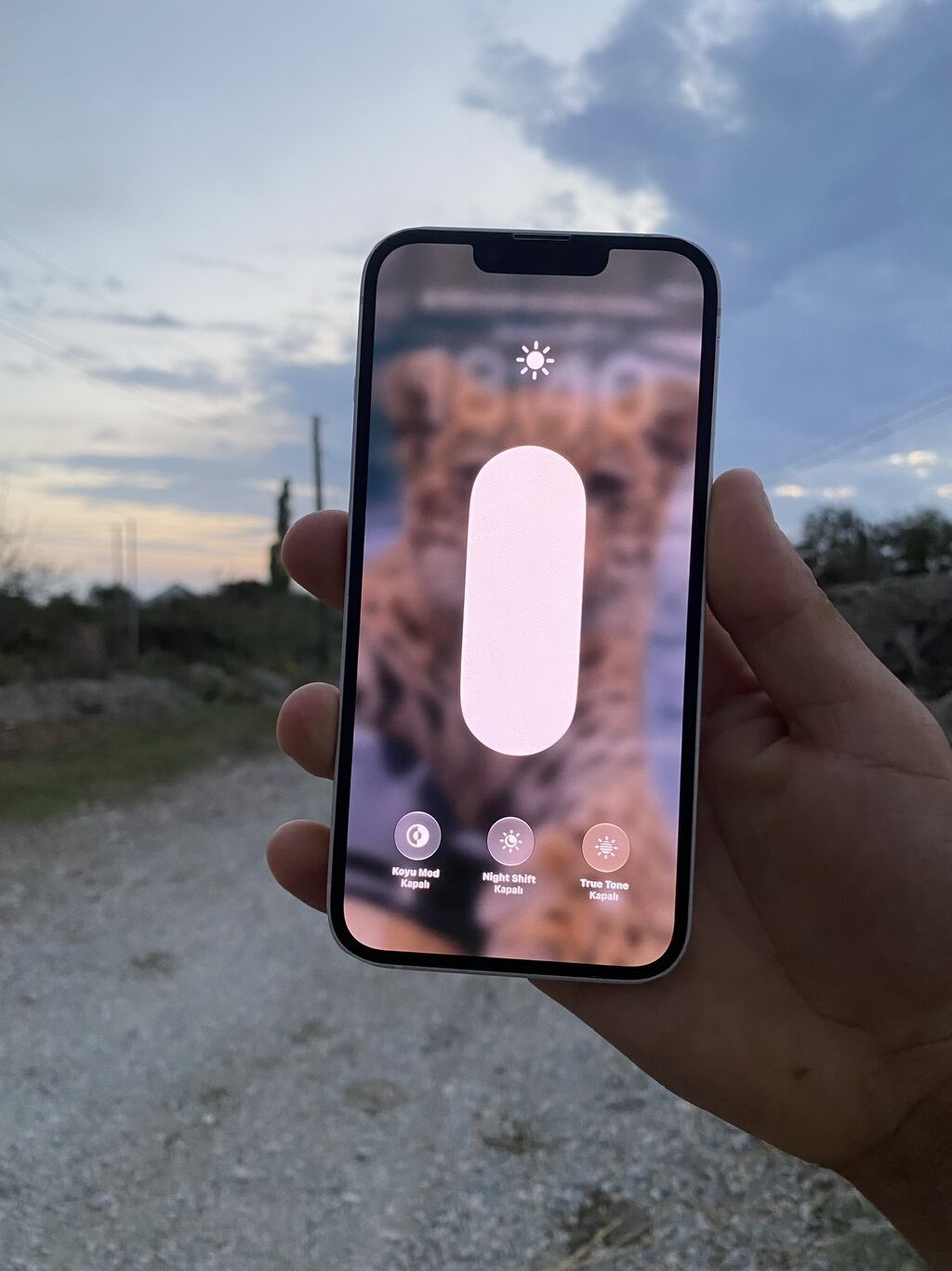 IPhone 13, 128 GB, Ağ, Simsiz şarj, Face ID — Apple iPhone, Xaçmaz (4)