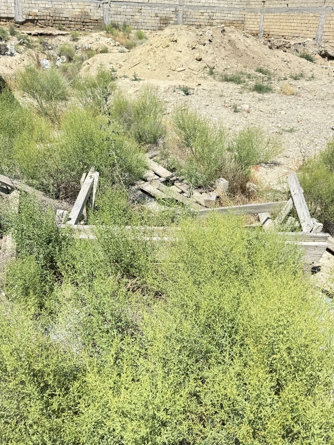 Satılır torpaq 12 sot — Torpaq, Bakı (12)