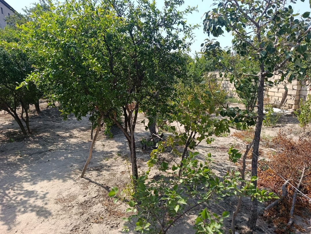 Satılır 5 otaqlı həyət evi/bağ evi 120 m² — Ev, villa, Bakı (7)