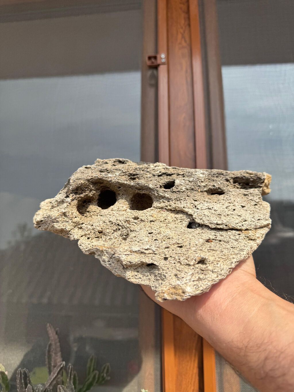 Akvarium daşları akanın içinənn çıxmadı toplam 18-19 klo bəzəkli — Akvariumlar və balıqlar, Bakı (5)