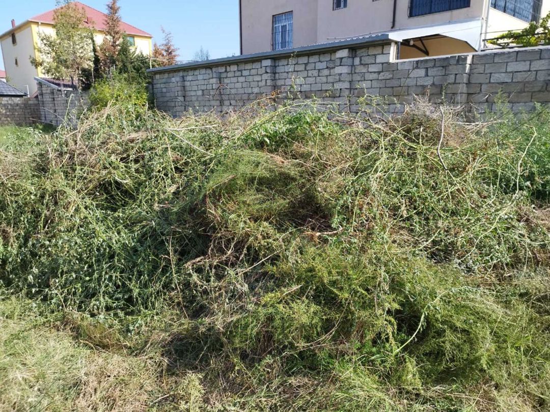 Satılır torpaq 12 sot — Torpaq, Bakı (2)