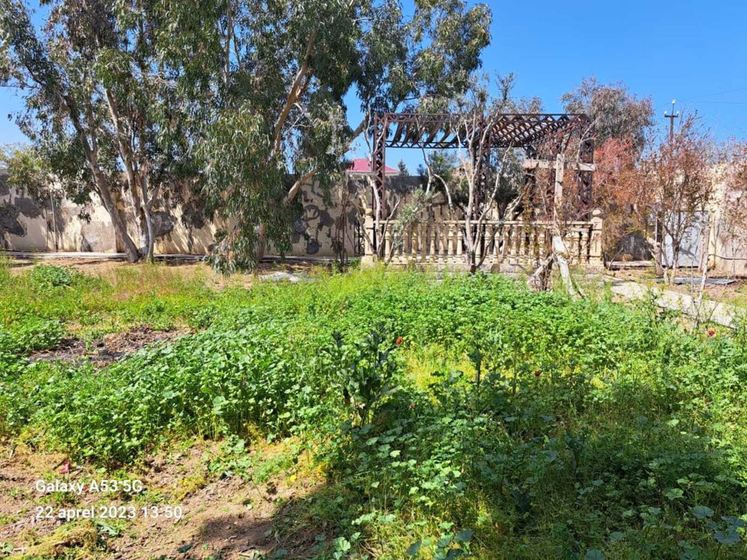 Satılır 3 otaqlı həyət evi/bağ evi 150 m² — Ev, villa, Bakı (2)