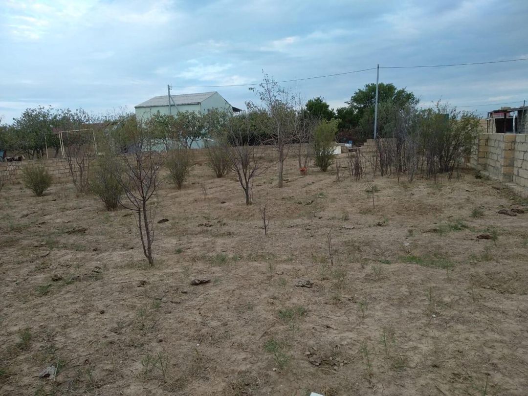 Satılır torpaq 6 sot — Torpaq, Sumqayıt (2)