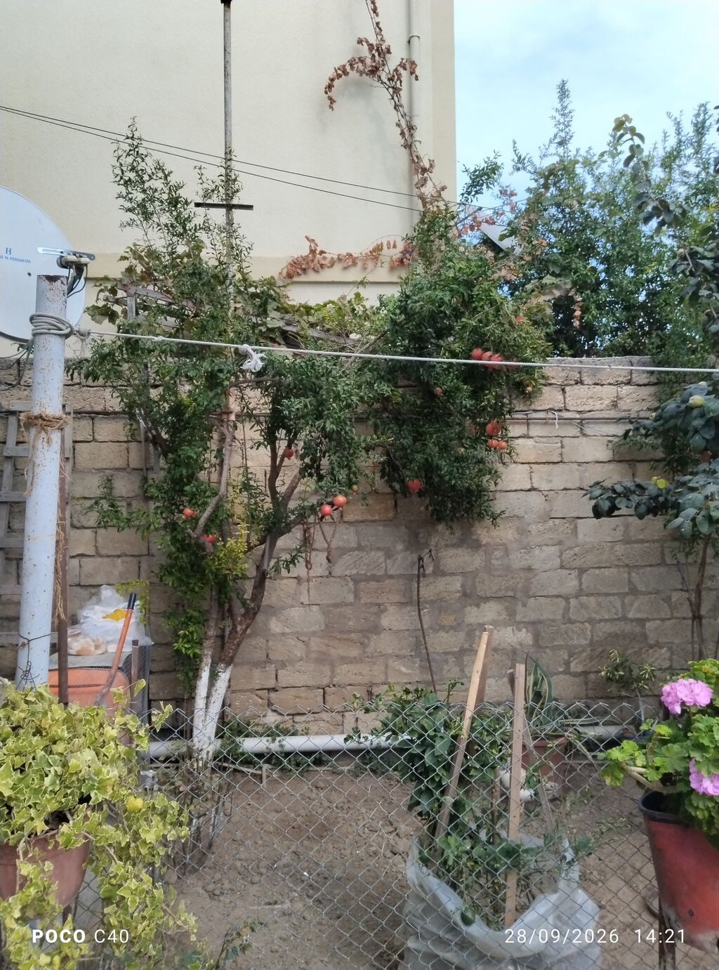 6 otaqlı, 6 kv. m, Orta təmir — Ev, villa, Digah (9)