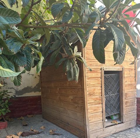 Ağac materialından hazırlanmış geniş it evi - Materiaal: təbii taxta — Xırdalan
