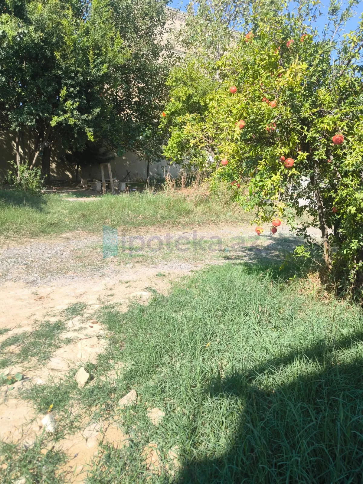 Satılır: Torpaq, Abşeron r., Novxanı q., 6.00 sot — Torpaq (7)