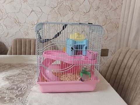 Siçan/hamster ile 2 mərtəbəli qəfəs dəsti 'qızdı hamilə yemək və — Xırdalan