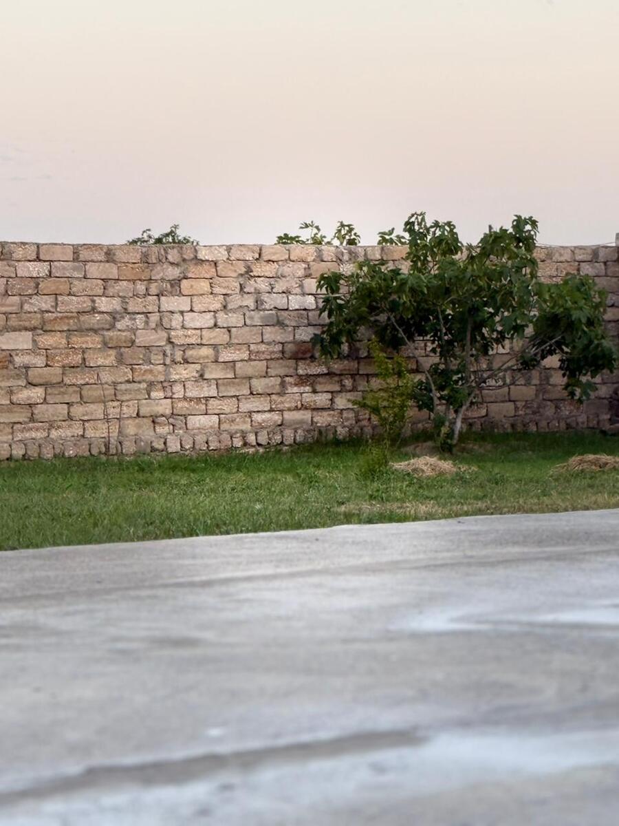 İcarəyə verilir 2 otaqlı həyət evi/bağ evi 60 m² — Ev, villa, Bakı (9)
