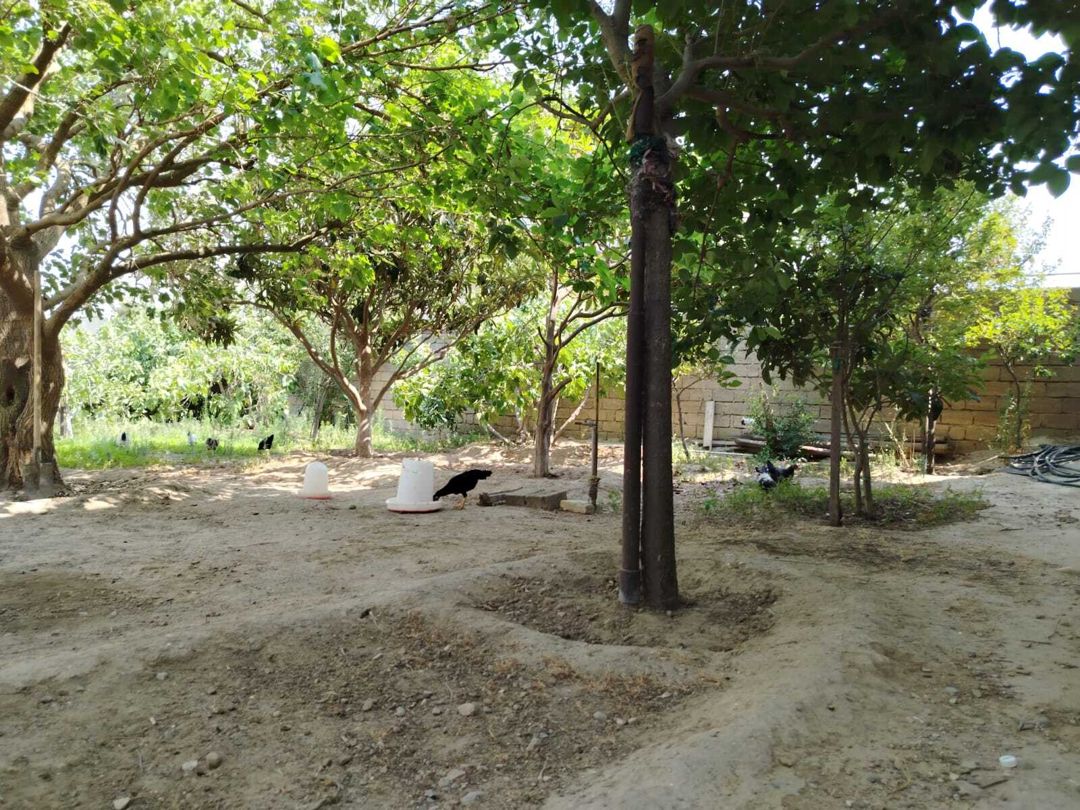 Satılır 5 otaqlı həyət evi/bağ evi 160 m² — Ev, villa, Bakı (10)