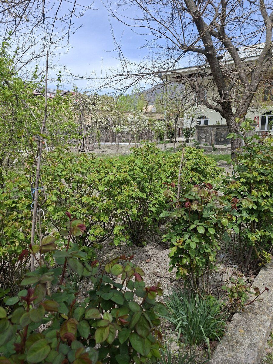 Həyət evi, Şəki r — Ev, villa, Şəki (2)