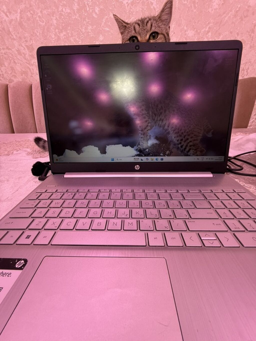HP noutbuk – 14-düymlük ekranlı, nazik və yüngül gövdə - Gümüşü — HP, Bakı (2)
