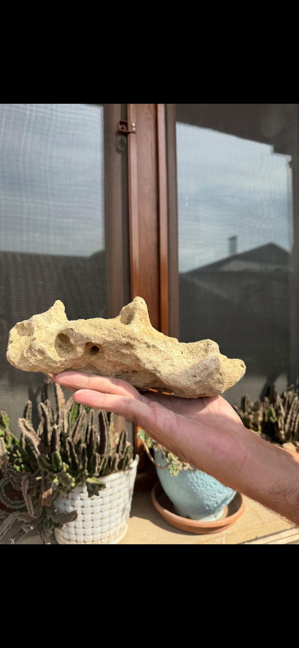 Akvarium daşları akanın içinənn çıxmadı toplam 18-19 klo bəzəkli — Akvariumlar və balıqlar, Bakı (2)