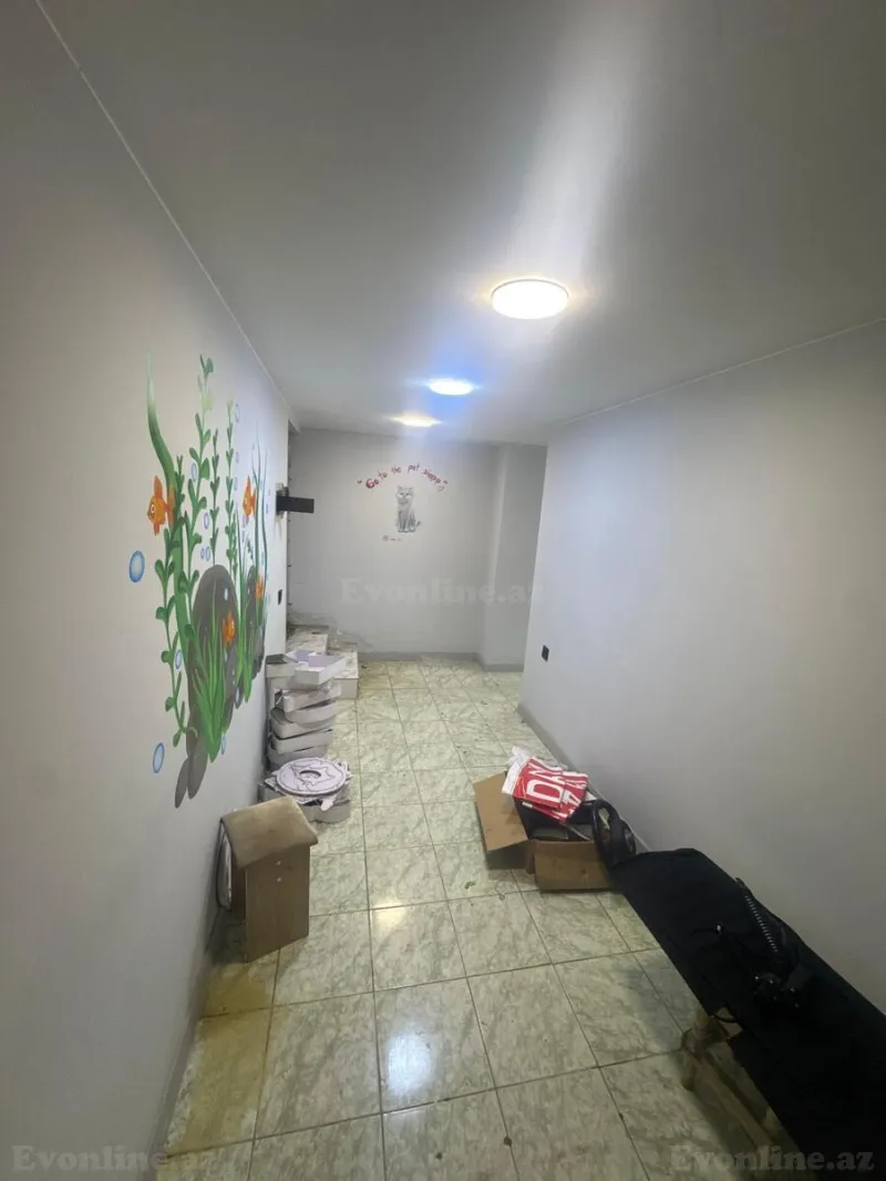 Kirayə verilir Obyekt 37 m² Bakı, Yasamal r., Elmlər Akademiyası m — Əmlak, Bakı (8)
