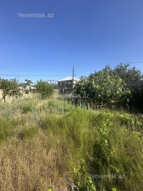 Satılır Torpaq sahəsi, 5.25 sot, Qurd dərəsi — Torpaq, Sumqayıt (6)
