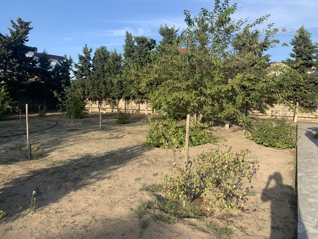 Satılır torpaq 8 sot — Torpaq, Bakı (3)
