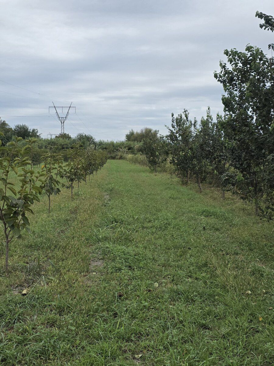 105 sot torpaq sahəsi, Ağdaş r — Torpaq, Ağdaş (2)