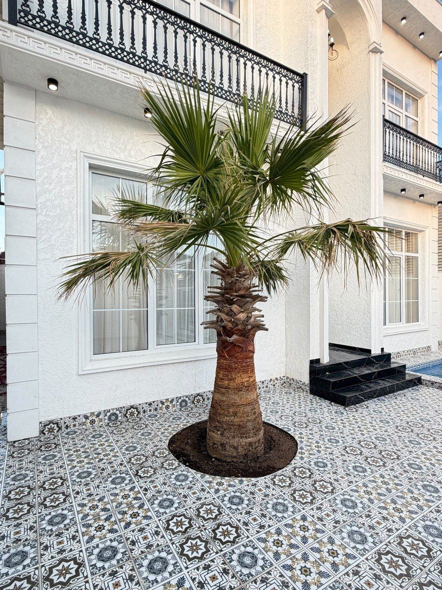 Satılır 4 otaqlı həyət evi/bağ evi 240 m² — Ev, villa, Bakı (8)