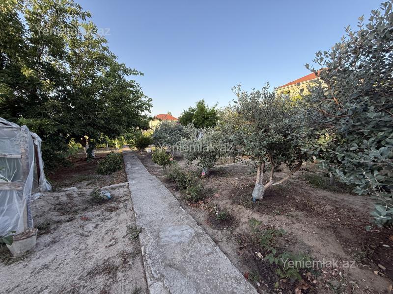 Satılır Torpaq sahəsi, 14 sot, Novxanı — Torpaq, Abşeron (8)
