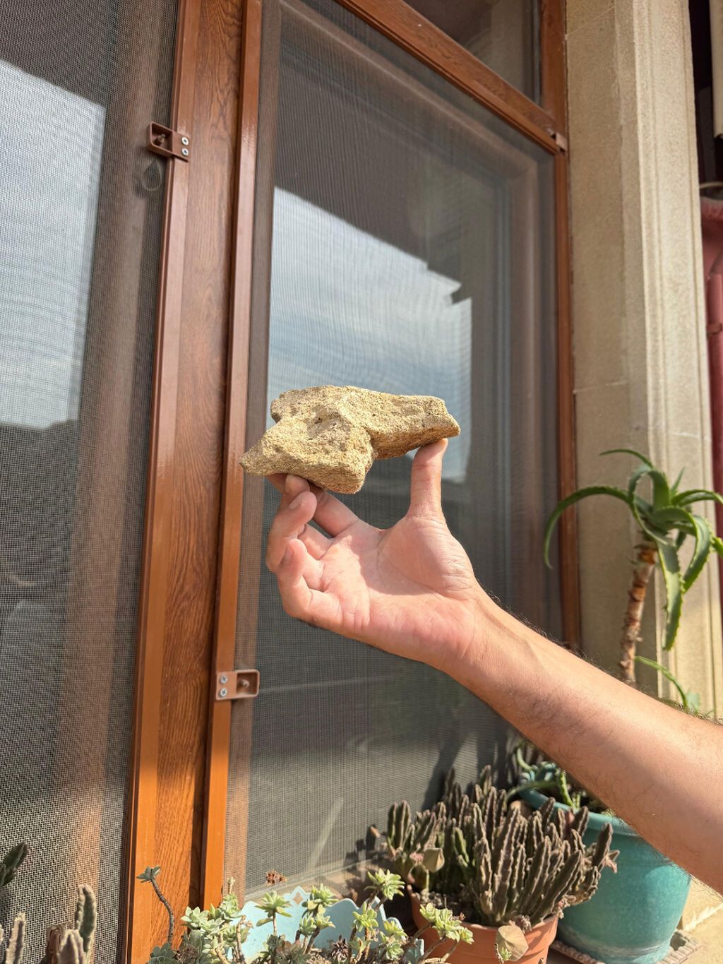 Akvarium daşları akanın içinənn çıxmadı toplam 18-19 klo bəzəkli — Akvariumlar və balıqlar, Bakı (7)
