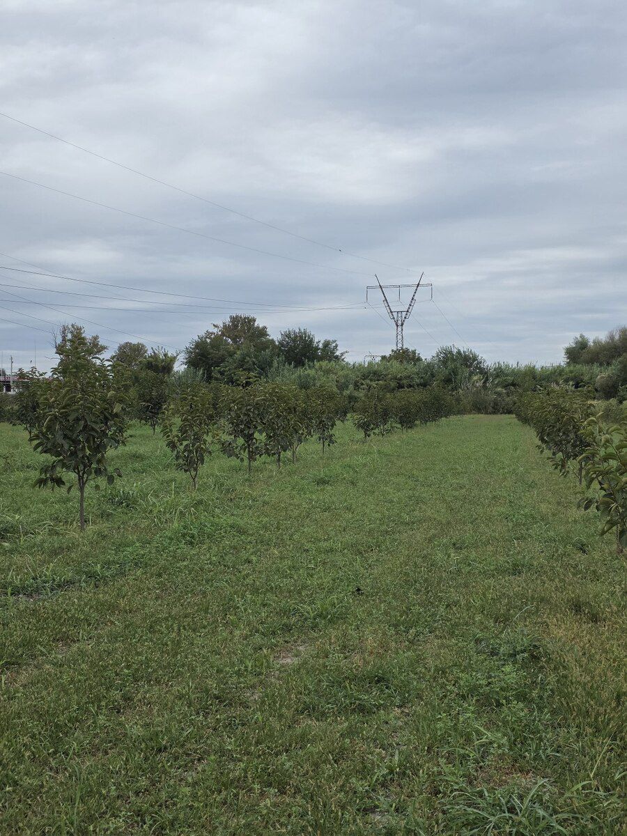 105 sot torpaq sahəsi, Ağdaş r — Torpaq, Ağdaş (6)