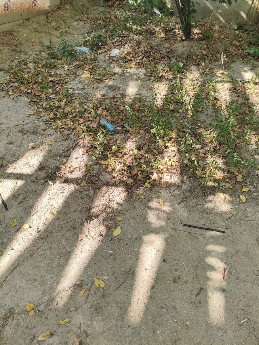 Satılır torpaq 6 sot — Torpaq, Bakı (5)