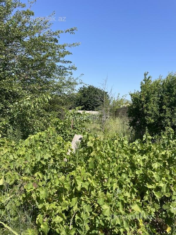For sale: land, 19 sot — Torpaq, Abşeron (7)