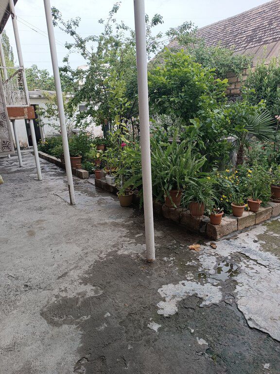 Həyət evi, Şəki ş — Ev, villa, Şəki (4)