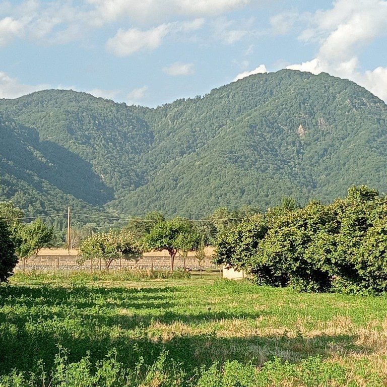 Satılır torpaq 100 sot — Torpaq, Qəbələ