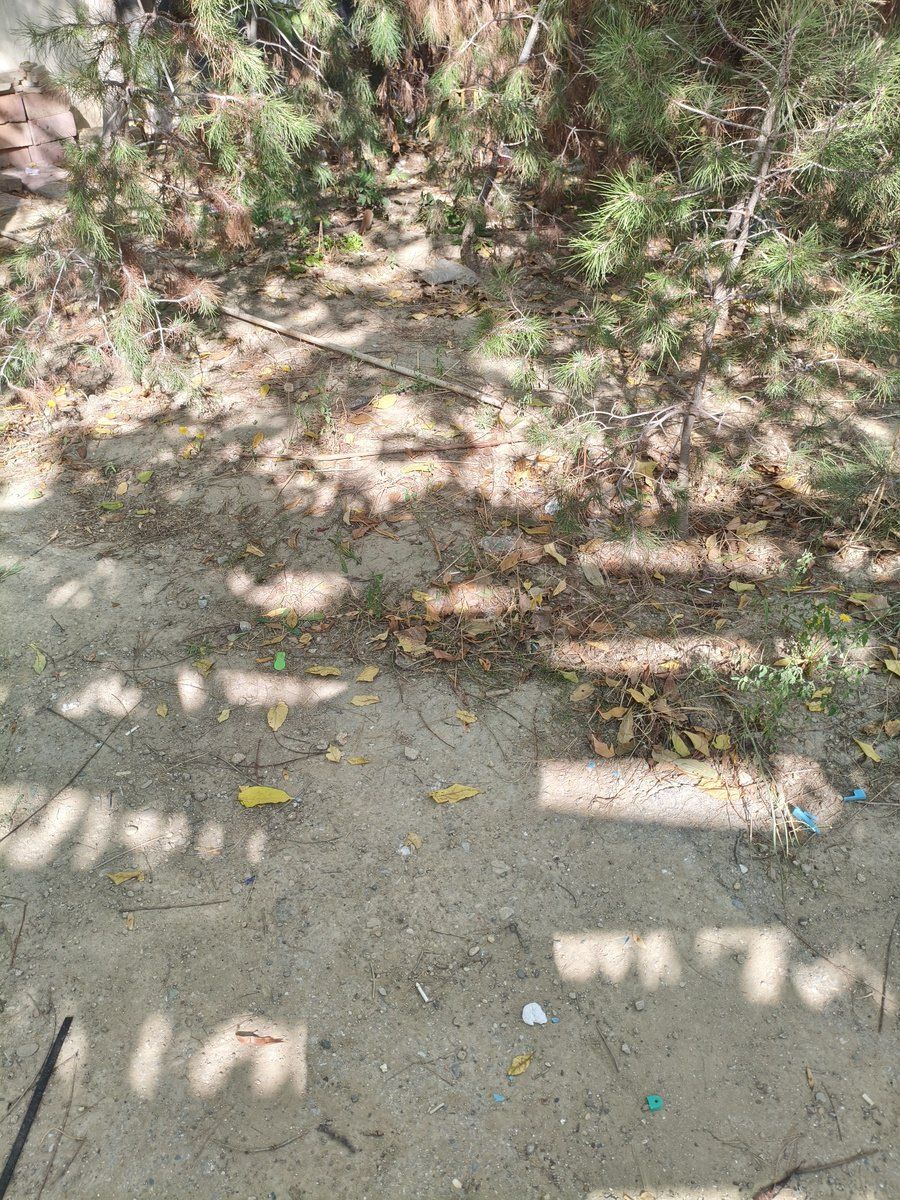 Satılır torpaq 6 sot — Torpaq, Bakı (10)