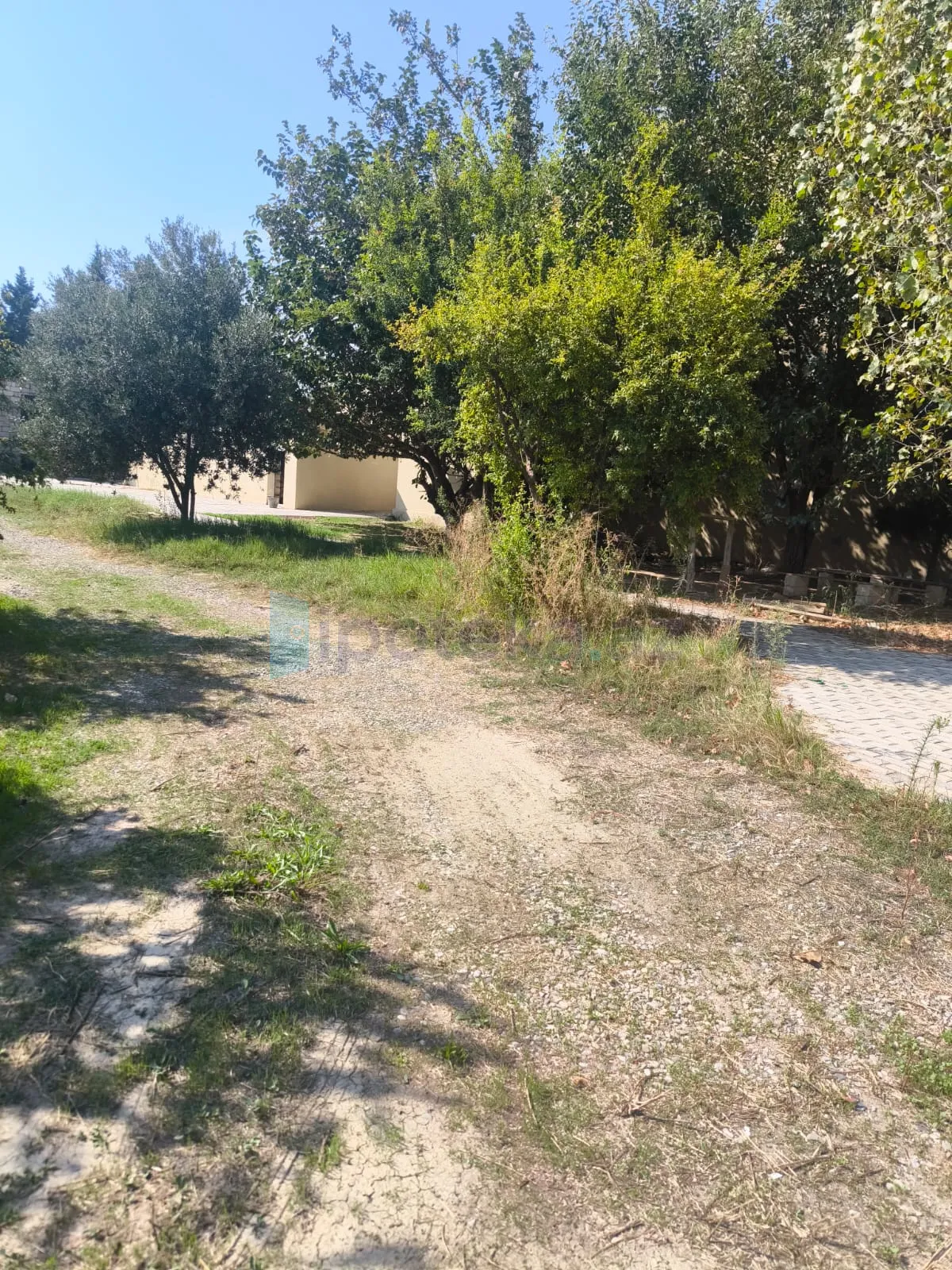 Satılır: Torpaq, Abşeron r., Novxanı q., 6.00 sot — Torpaq (5)