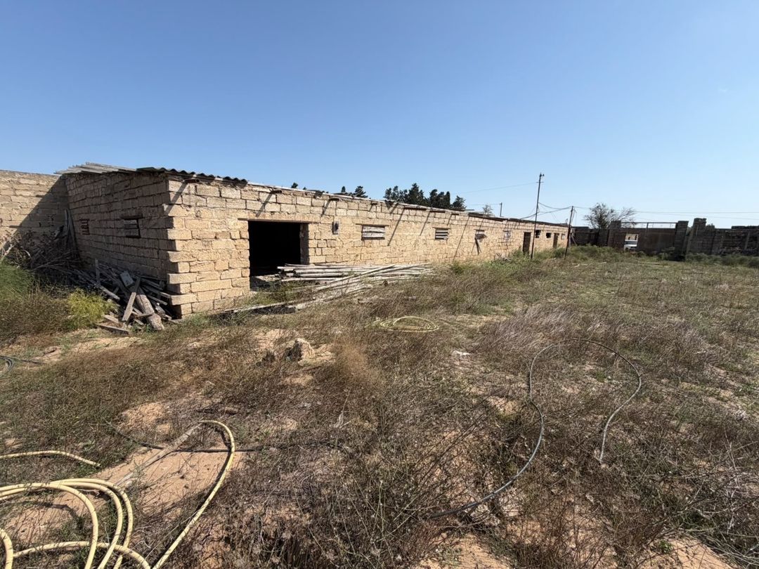 Satılır torpaq 53 sot — Torpaq, Bakı (8)