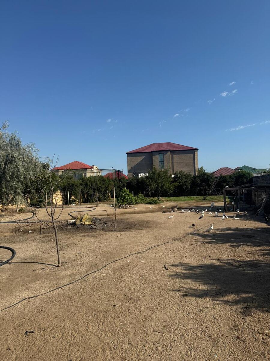 Satılır torpaq 30 sot — Torpaq, Bakı (3)