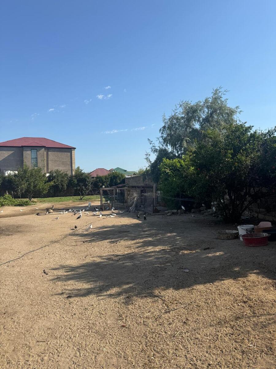 Satılır torpaq 30 sot — Torpaq, Bakı (5)