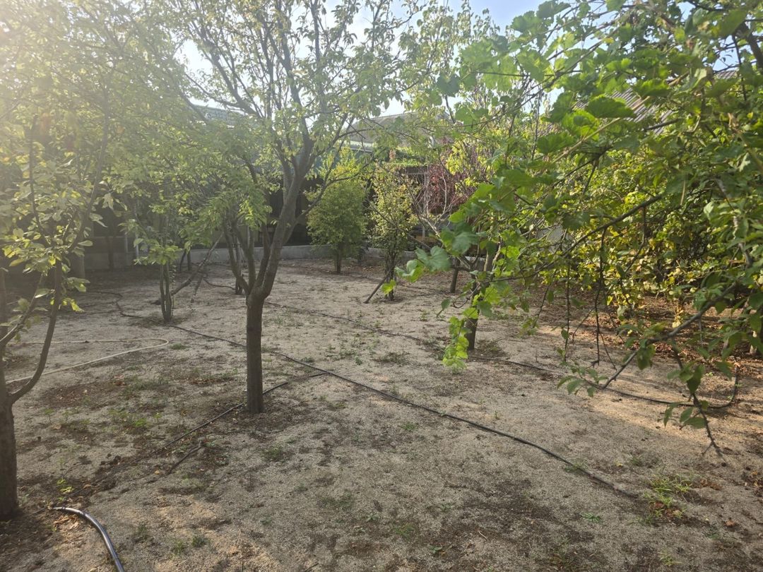 Satılır həyət evi/bağ evi 150 m² — Ev, villa, Bakı (10)