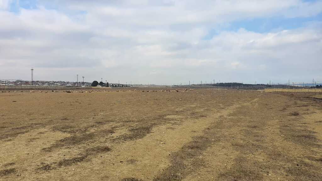 Satılır torpaq 1000 sot — Torpaq, Bakı (2)