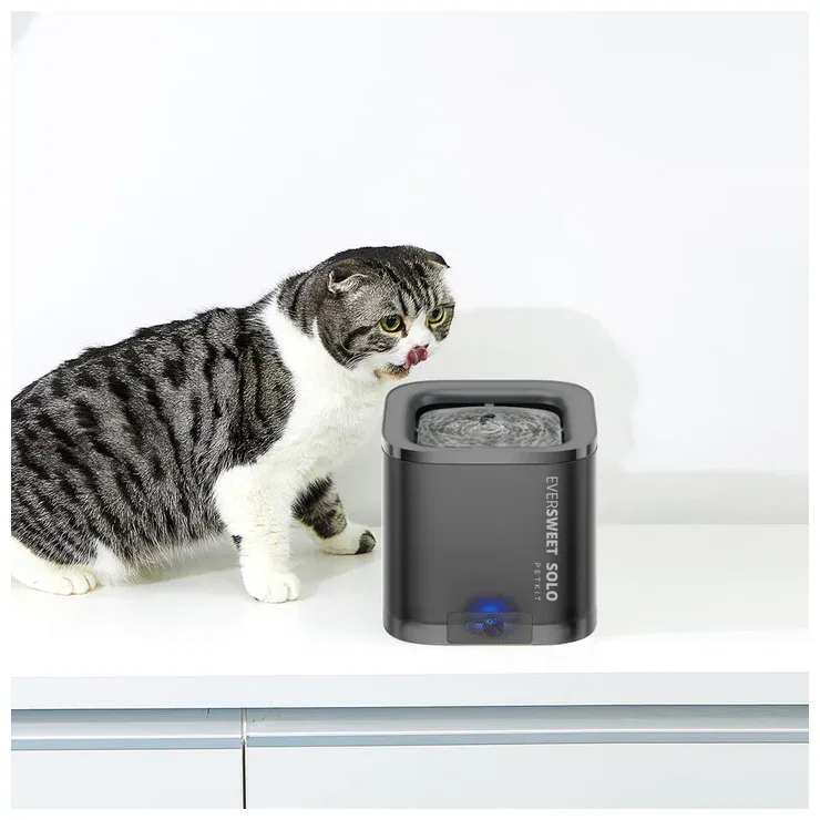 Petkit Eversweet Solo SE Dark — Mallar, Bakı (5)