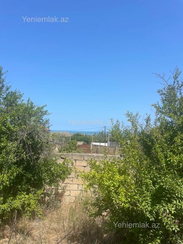 For sale: land, 15 sot — Torpaq, Abşeron (2)